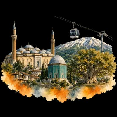 Bursa