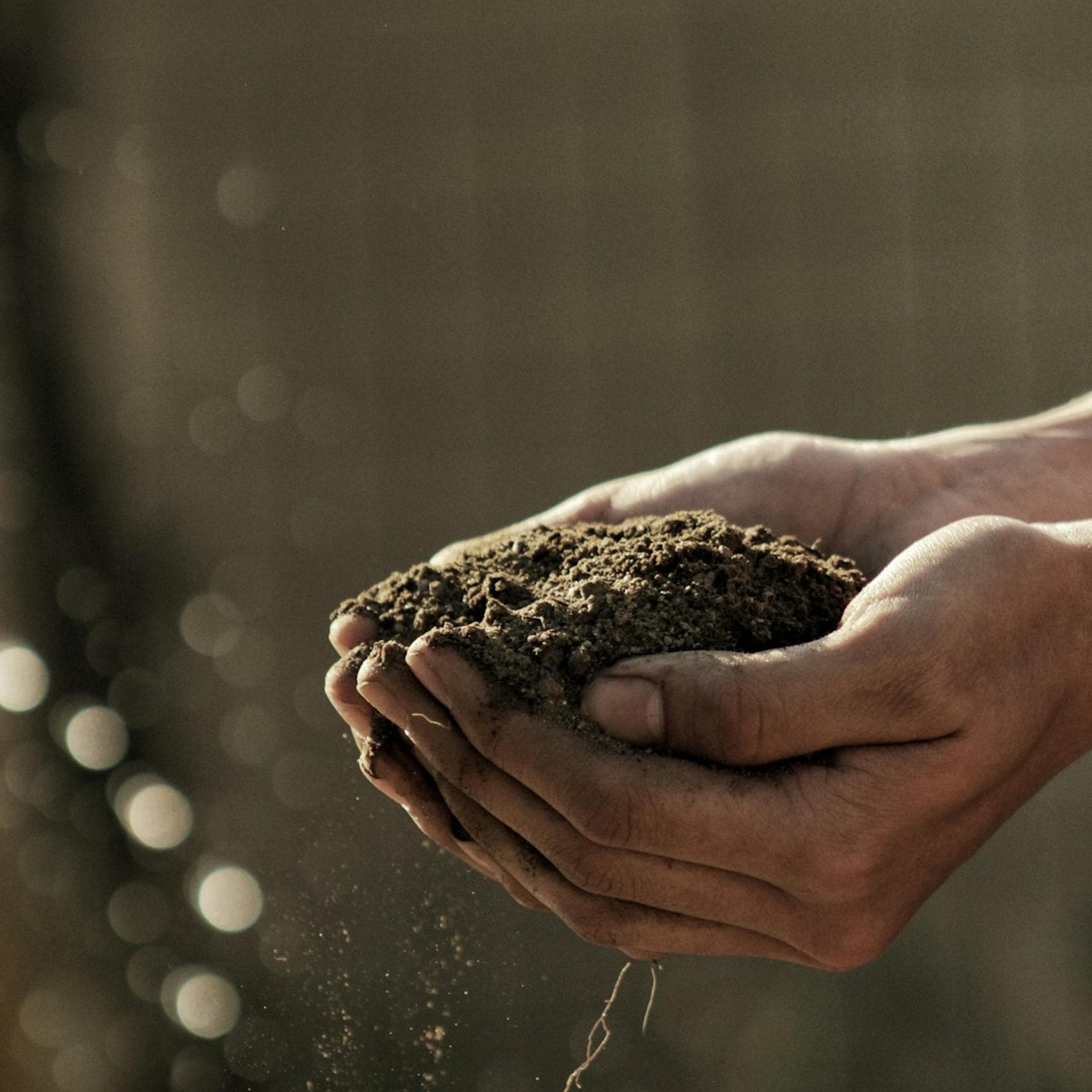 Agricoltura rigenerativa: scienza o leggenda?