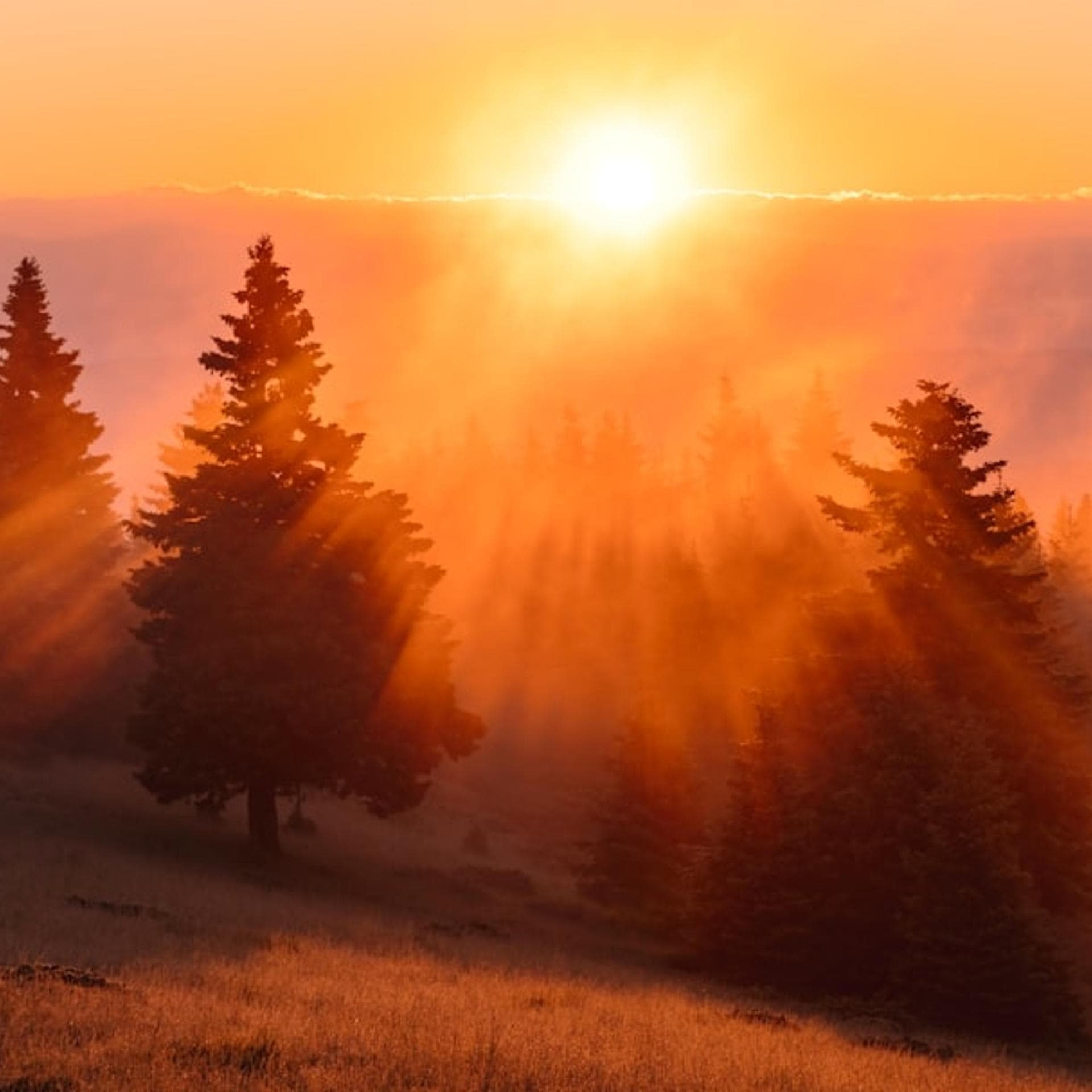 Becoming a Climate Angel with E8