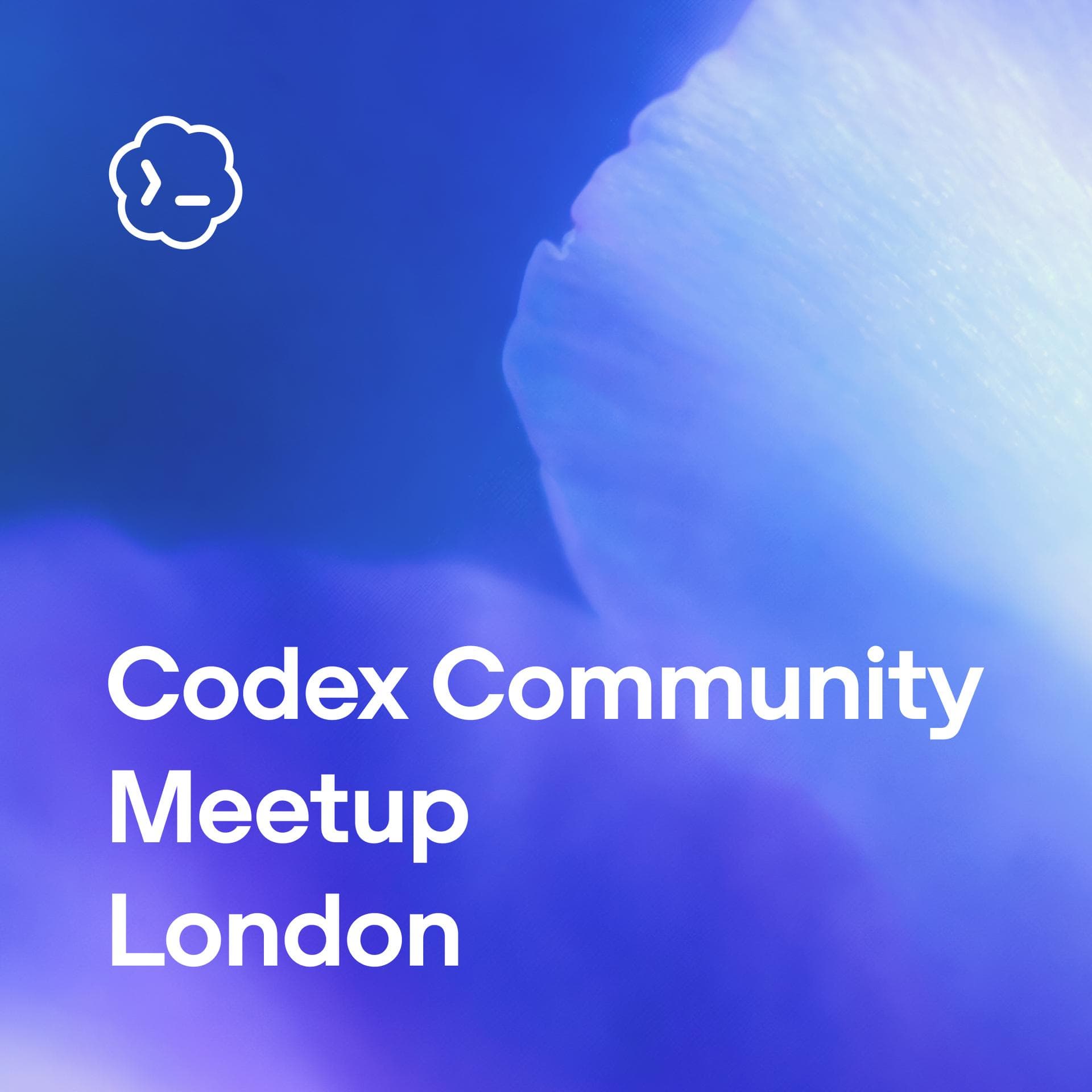 Codex Community Meetup - London