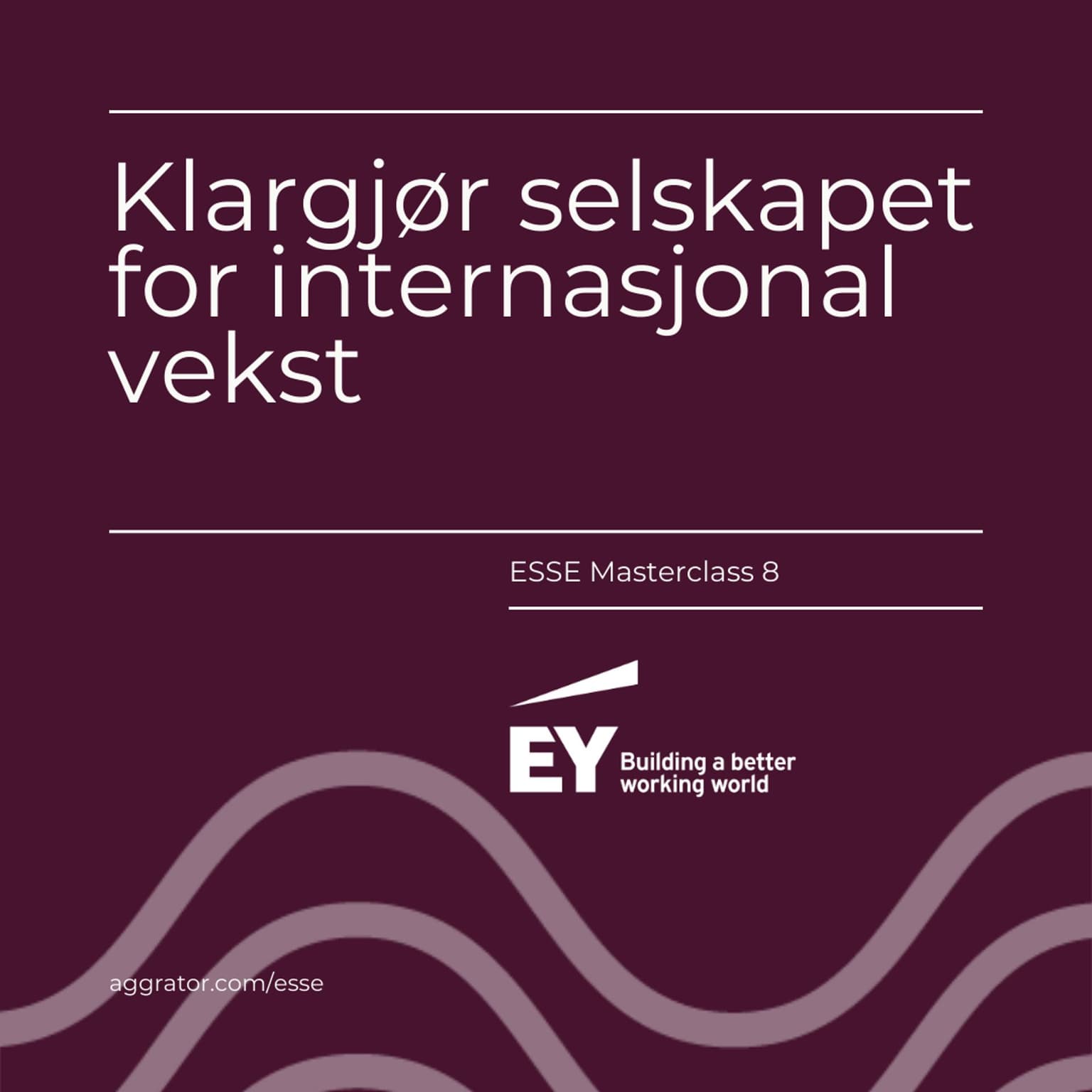 ESSE 8: Klargjør selskapet for internasjonal vekst