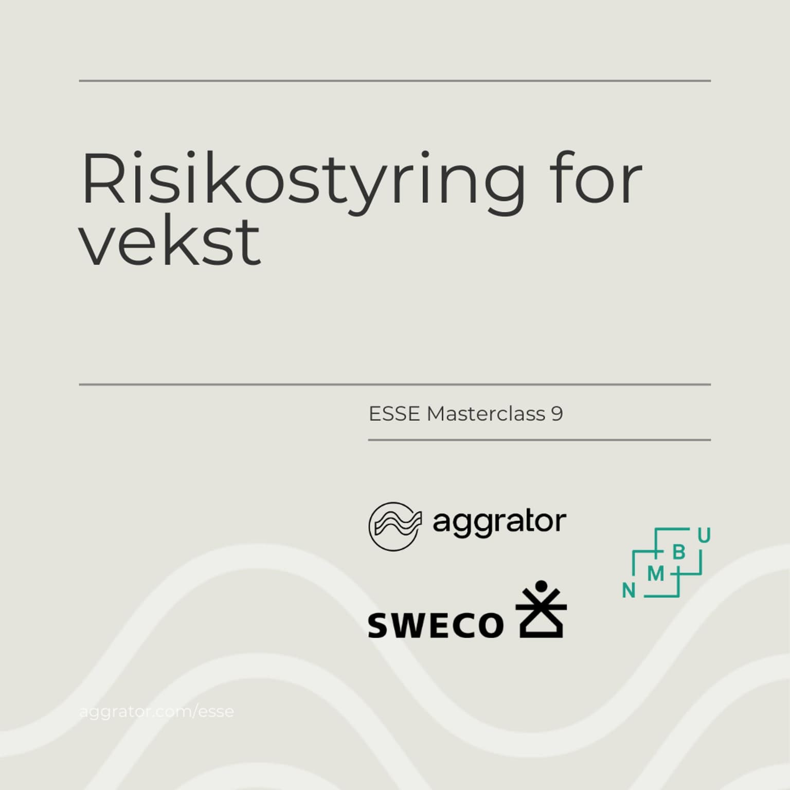 ESSE 9: Risikostyring for vekst
