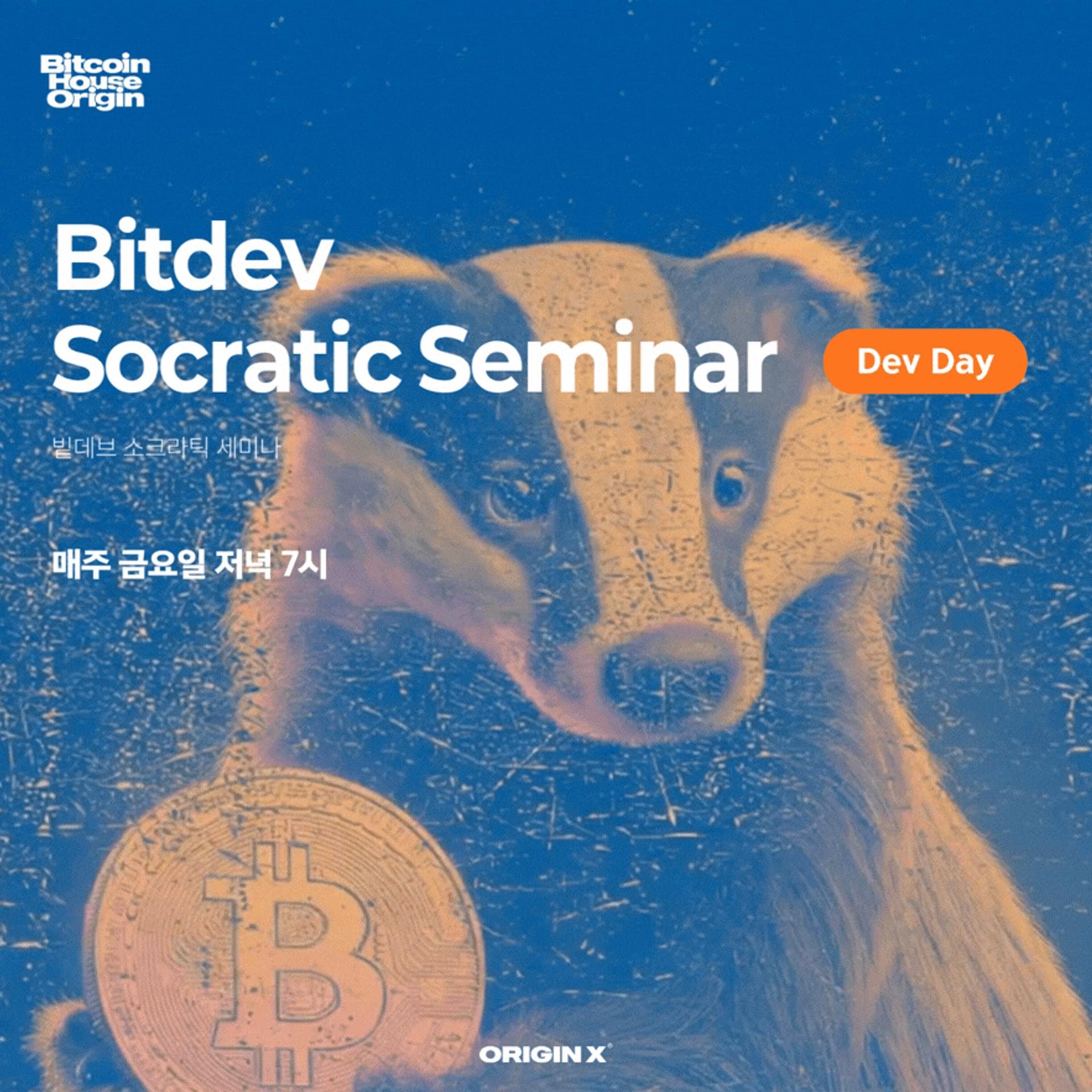 ₿itDev Socratic Seminar