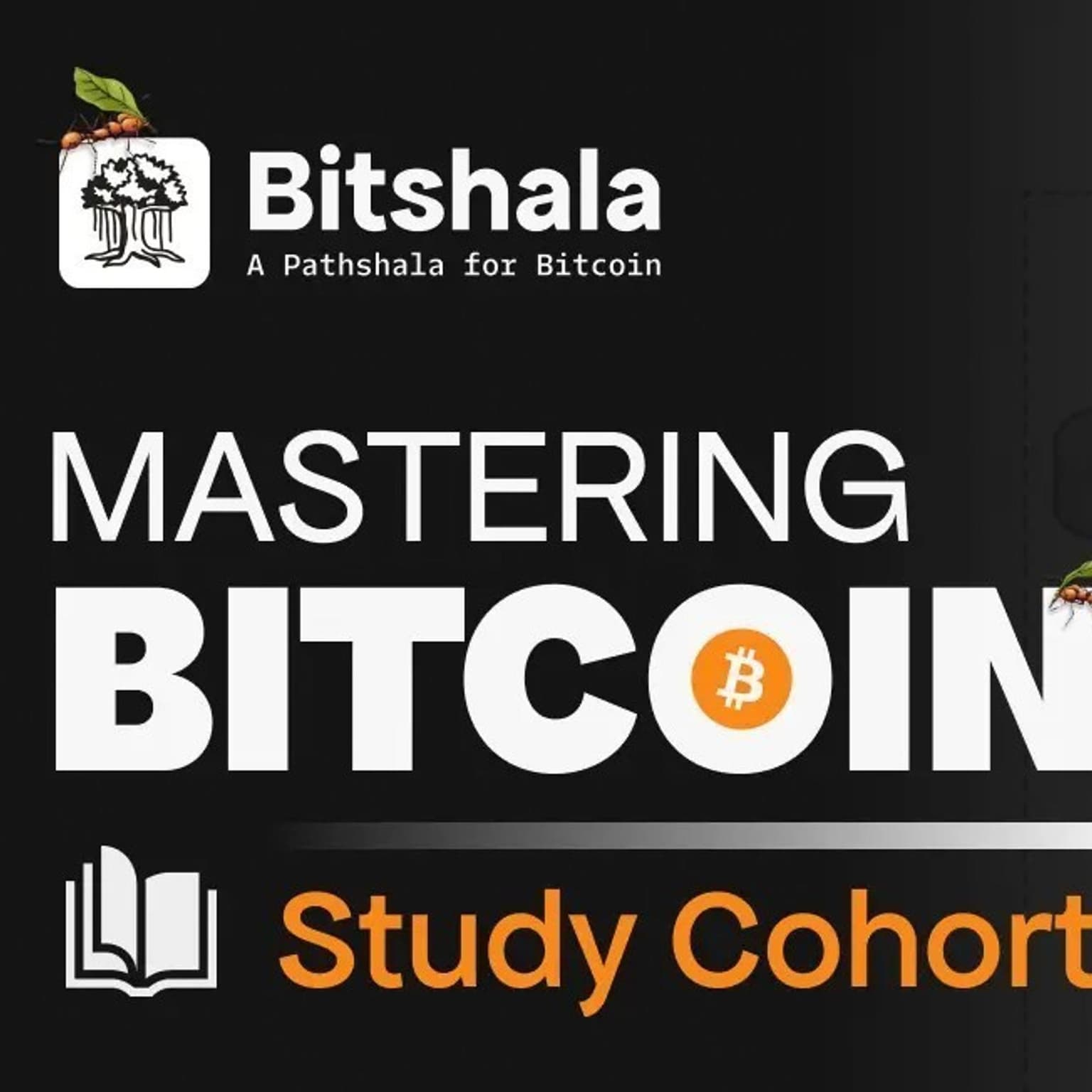 Mastering Bitcoin (MB) Cohort - Season 6 - Intro Session