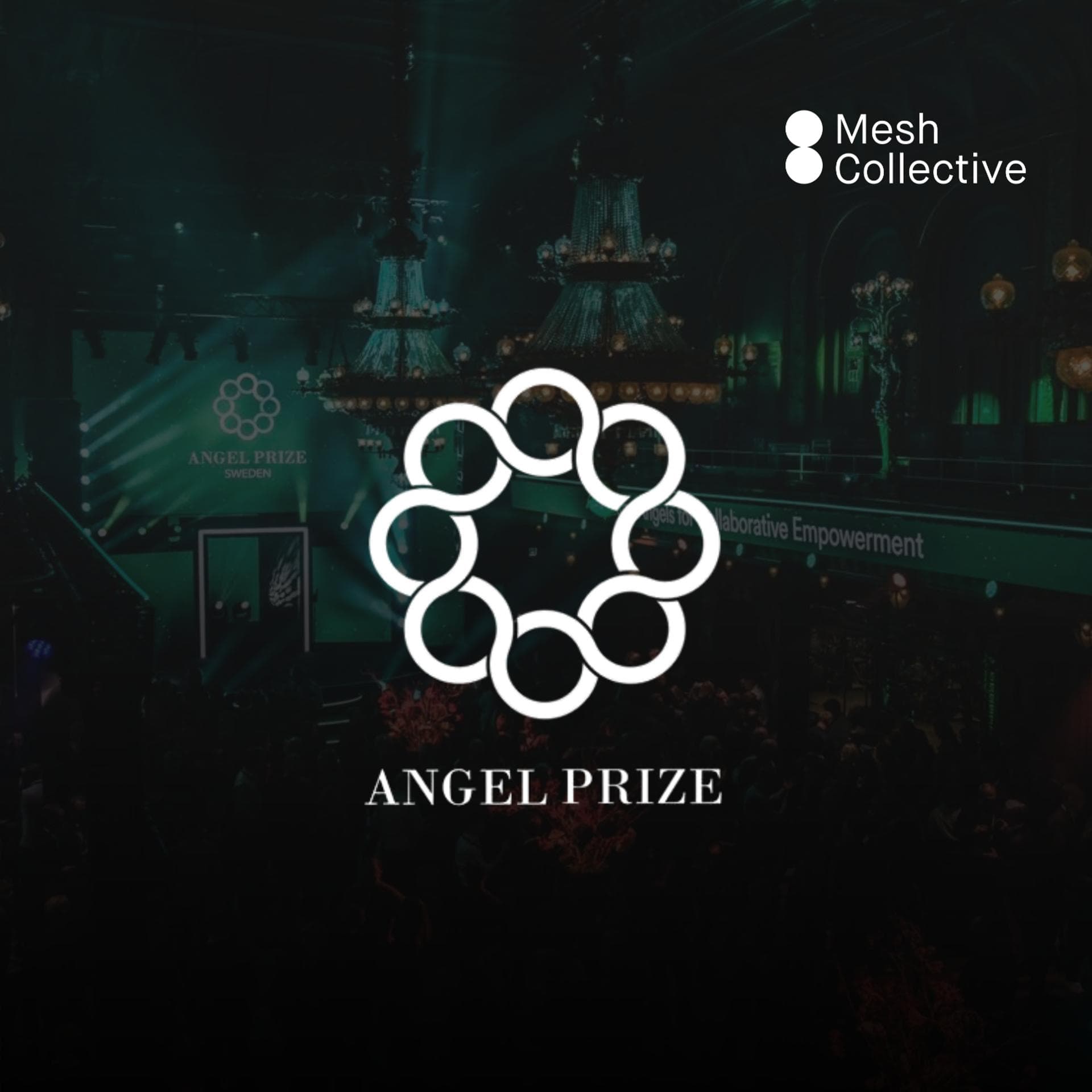 Mesh Collective Angel Prize