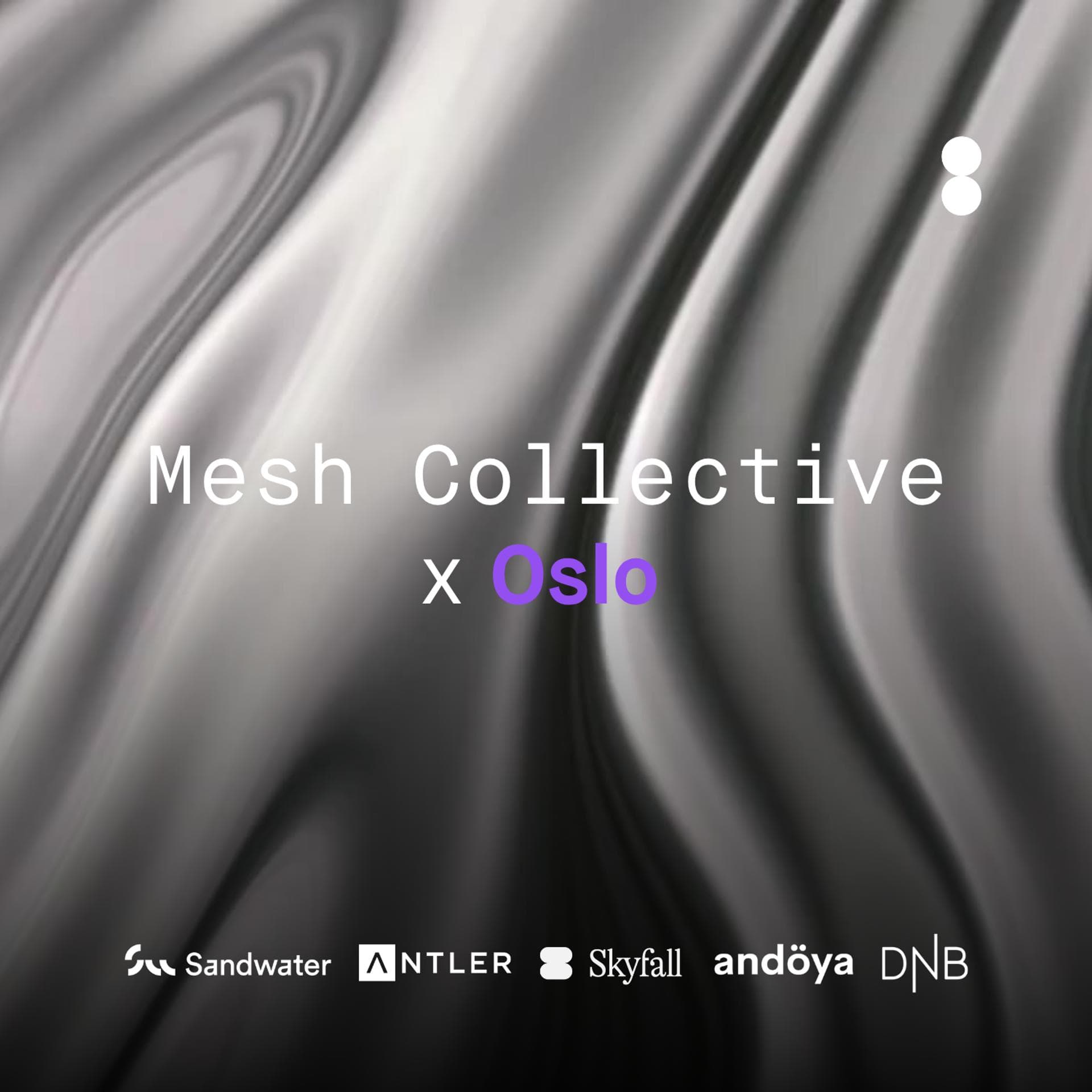 Mesh Collective X Oslo