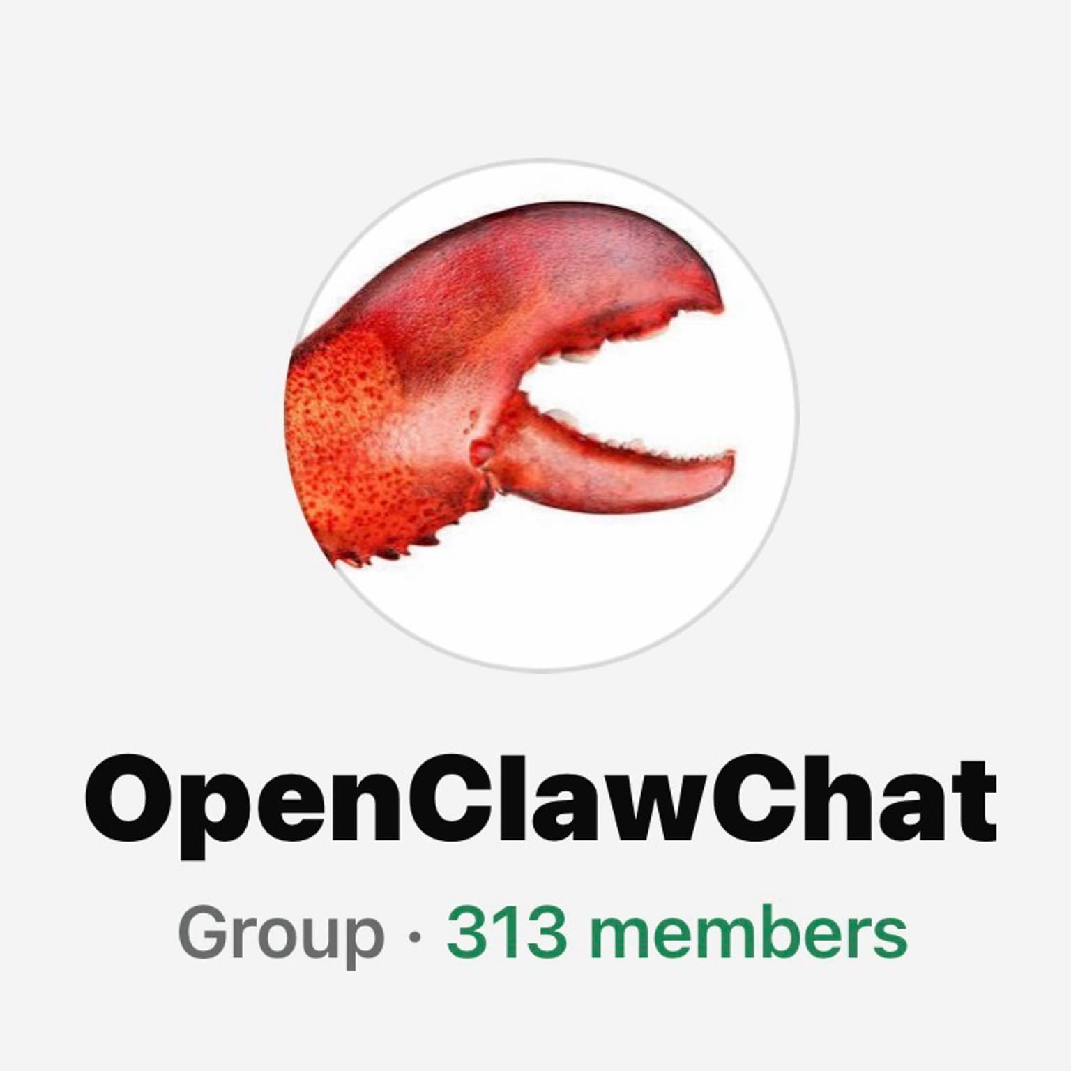 OpenClawChat