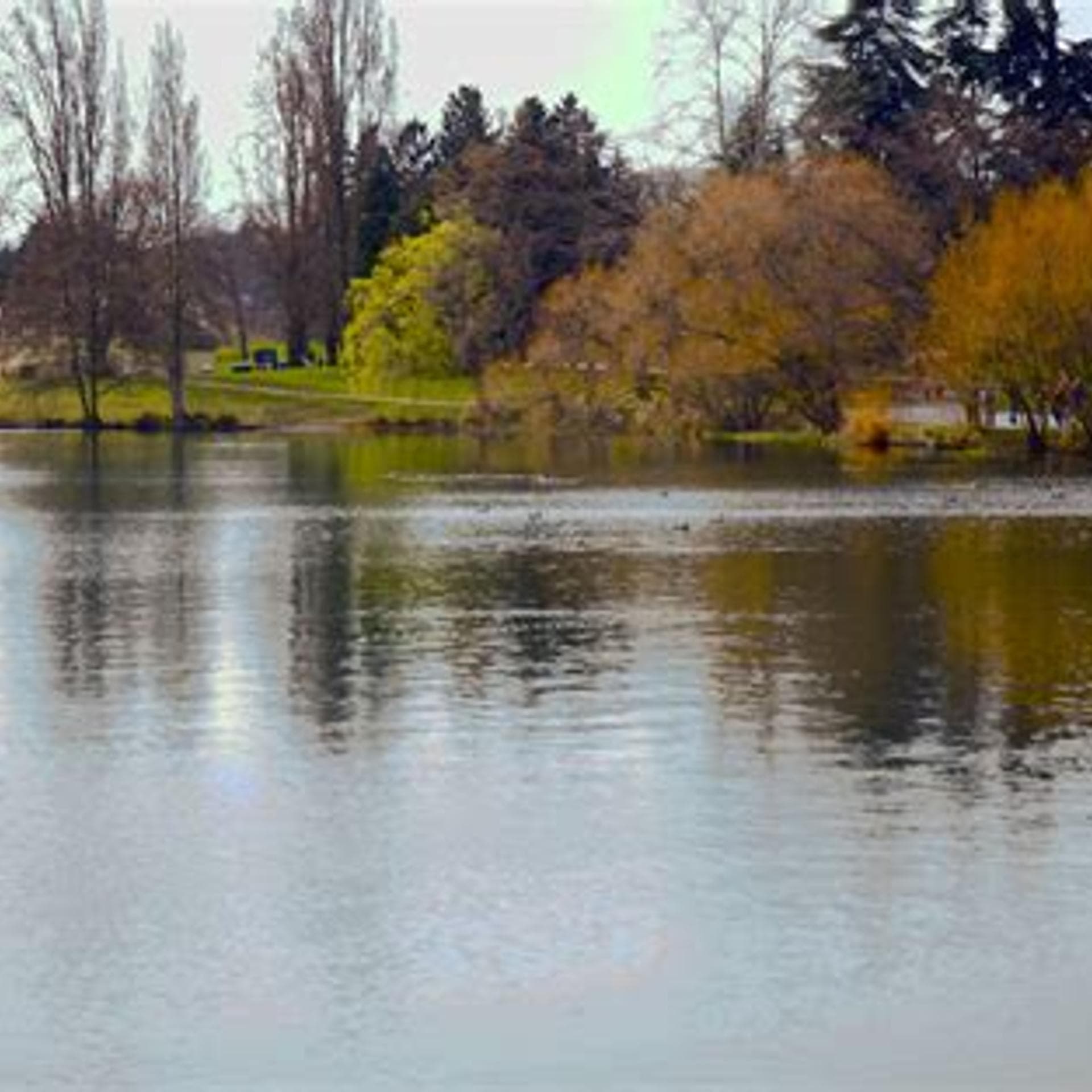 Startup Walk & Talk @ Green Lake (Founders & Investors Only)